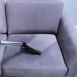 Dicas de limpeza de estofados para donos de animais de estimação